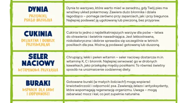 Jakie warzywa dla szczeniaka są zdrowe i bezpieczne? Kluczowe informacje