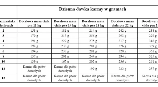 Karmienie szczeniaka ile razy dziennie? Harmonogram według wieku psa